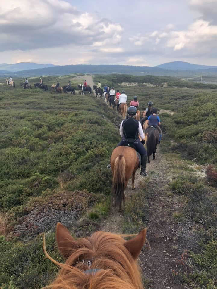 %_tempFileName69301349_10211629504212306_8888676874838867968_n%