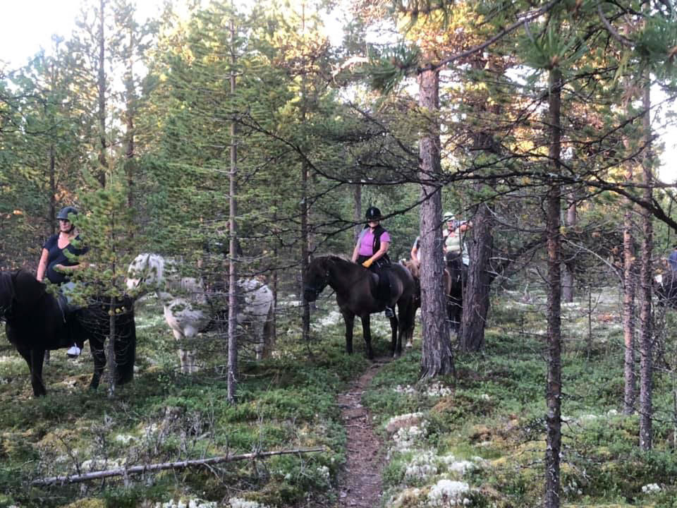 %_tempFileName69358810_10218446726973976_6064128925825499136_n%