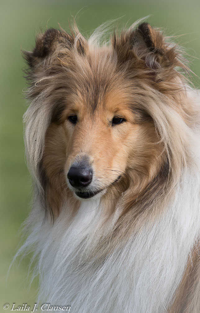 %_tempFileName4S3A0028%20(1)-33%