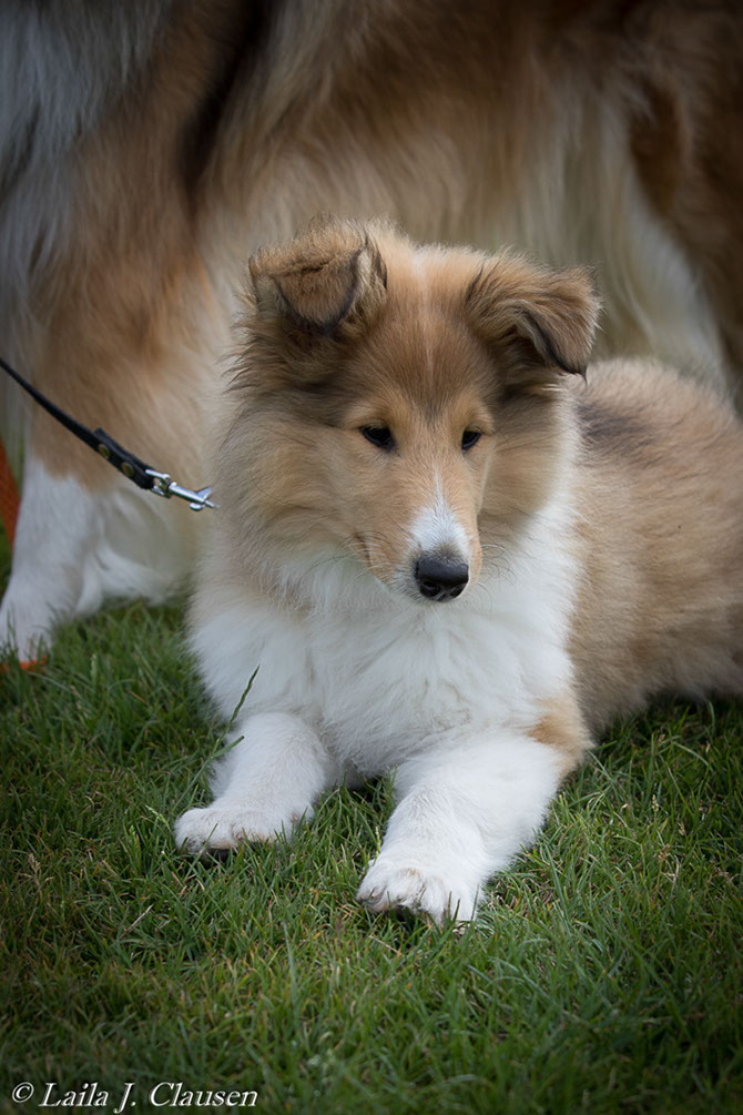 %_tempFileName4S3A0042%20(1)-39%