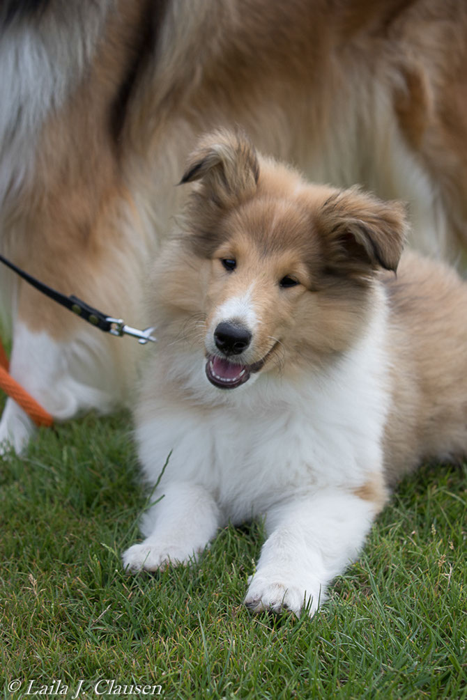 %_tempFileName4S3A0045%20(1)-40%