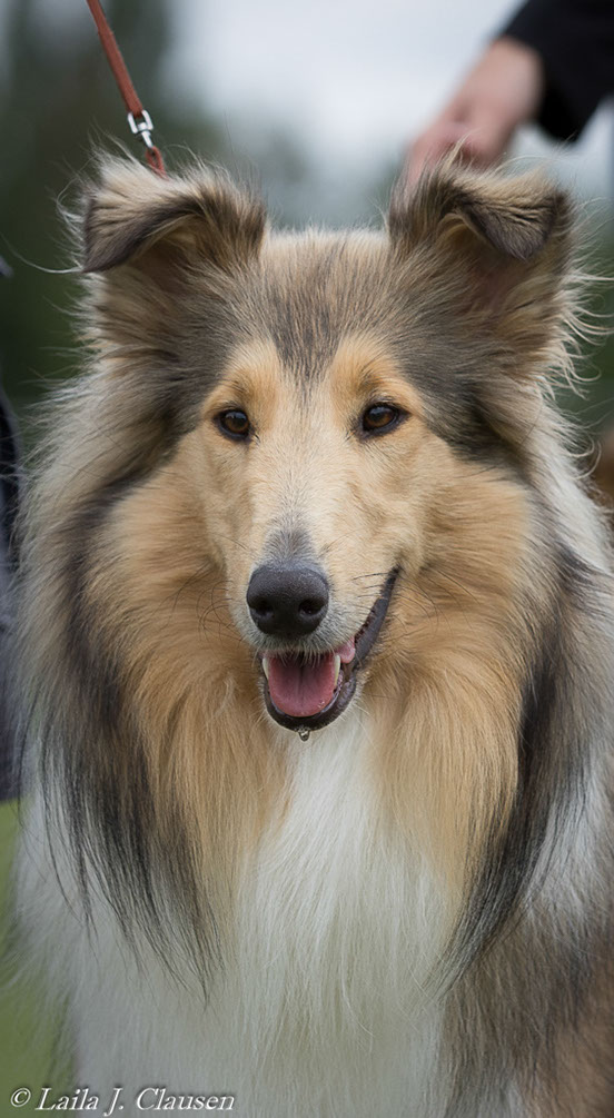 %_tempFileName4S3A0470-183%