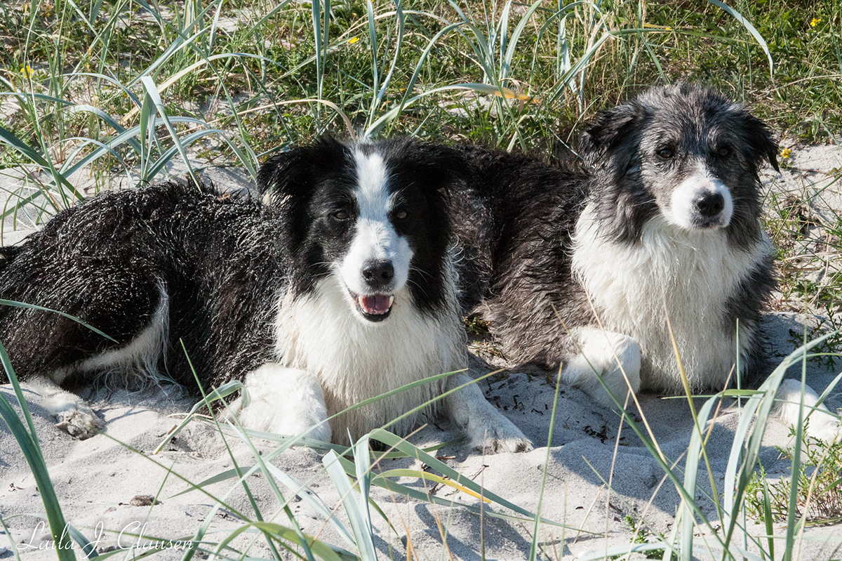 %_tempFileNameIMG_6919%