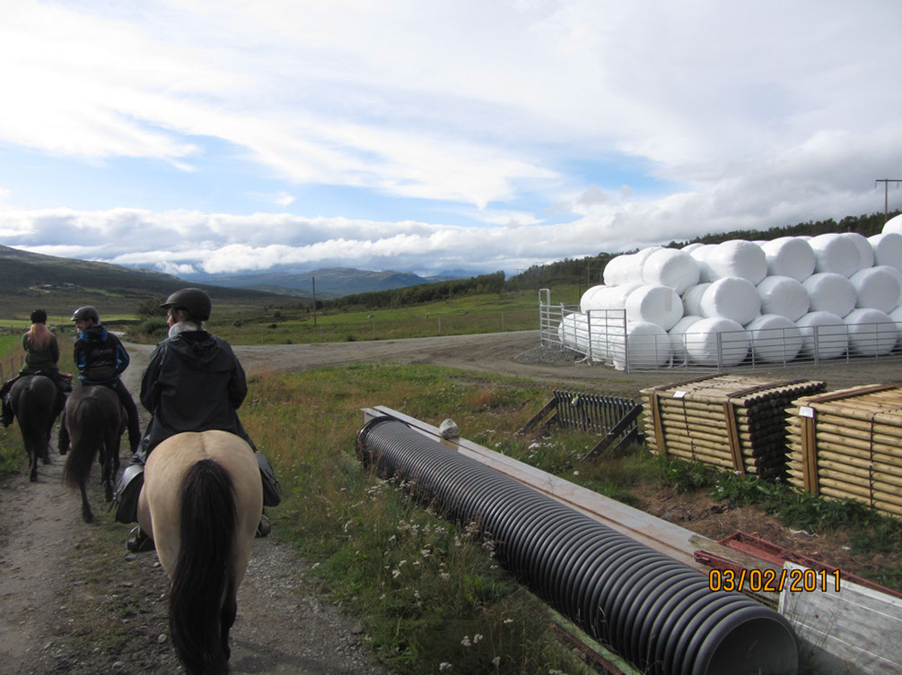 %_tempFileNameIMG_1568%20(1)%