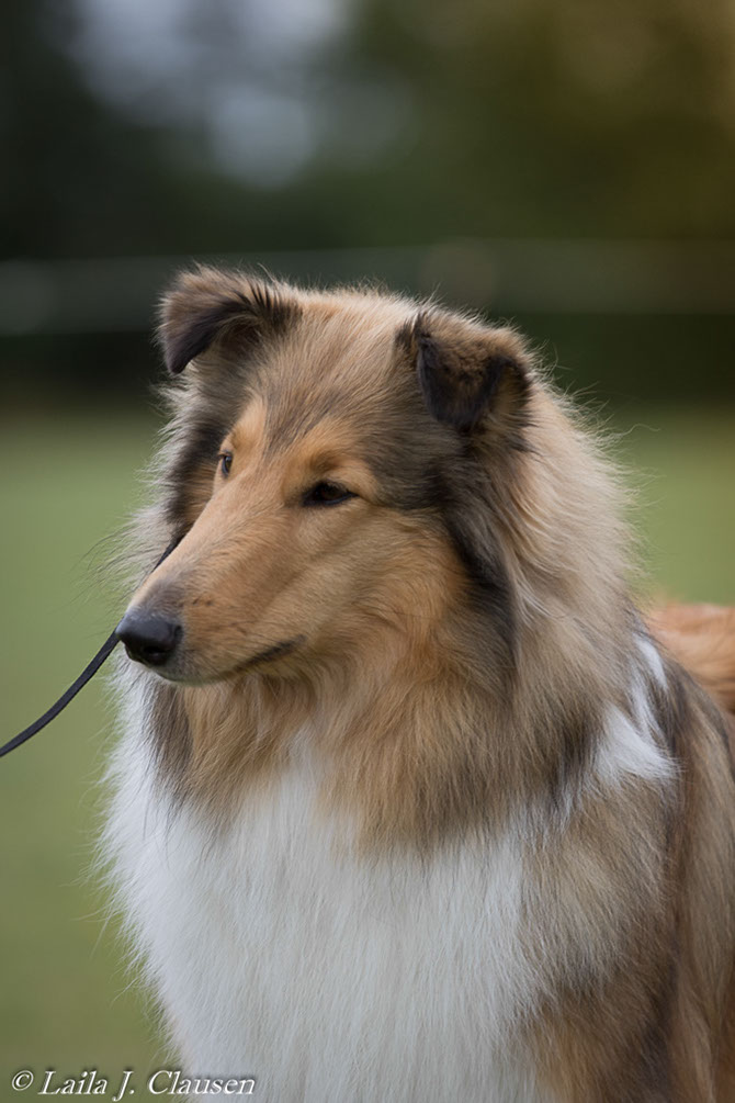 %_tempFileName4S3A0210-109%