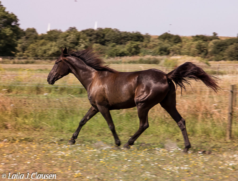 %_tempFileName4S3A0088-45%