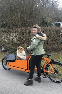 Flotte detaljer på min Bullitt - Larry ws Harry