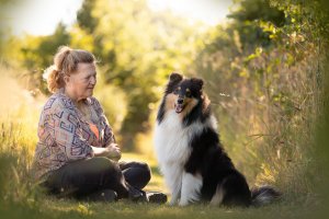 Sheltie,colliehvalp, En hvalp